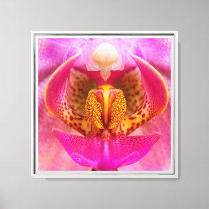 Lienzo Orquídea Vibrante