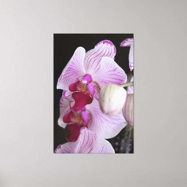 Lienzo Orquídeas (Anverso)