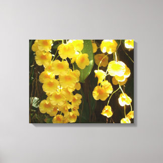 Lienzo Orquídeas Amarillas colgando flores tropicales