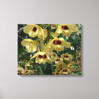 Lienzo Orquídeas amarillas y granates elegantes flores