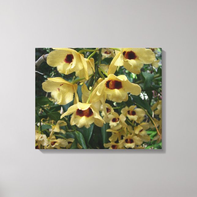 Lienzo Orquídeas amarillas y granates elegantes flores (Anverso)
