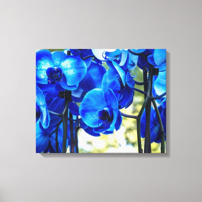 Lienzo Orquídeas azules (Anverso)