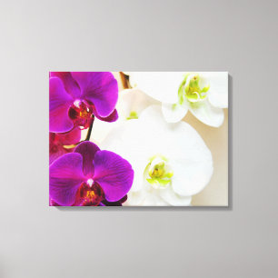 Lienzo Orquídeas Blancas Tropicales Número Tres