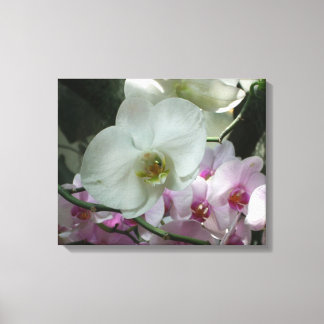 Lienzo Orquídeas blancas y moradas