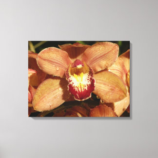 Lienzo Orquídeas con gotas de lluvia floral