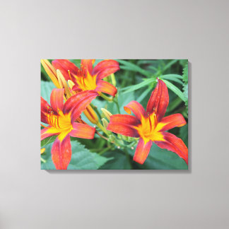 Lienzo Orquídeas de colores