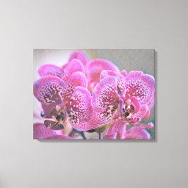 Lienzo Orquídeas De Vidrio Manchado