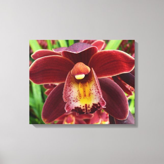 Lienzo Orquídeas Maroon I Hermosa Floral Roja (Anverso)