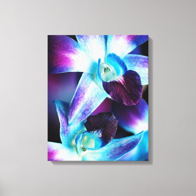 Lienzo Orquídeas personalizadas de Dendrobium púrpura y a (Anverso)