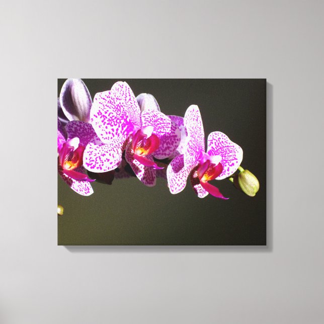 Lienzo Orquídeas rosas (Anverso)