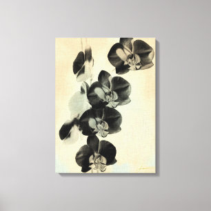 Lienzo Orquídeas Rubor Paneles III