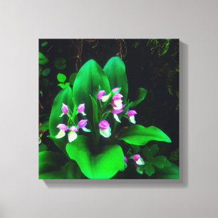 Lienzo Orquídeas Silvestres