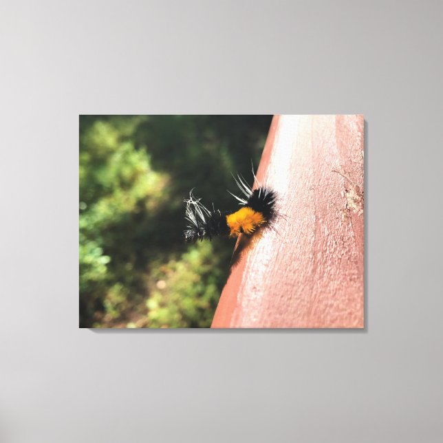 Lienzo oruga de baile (Anverso)