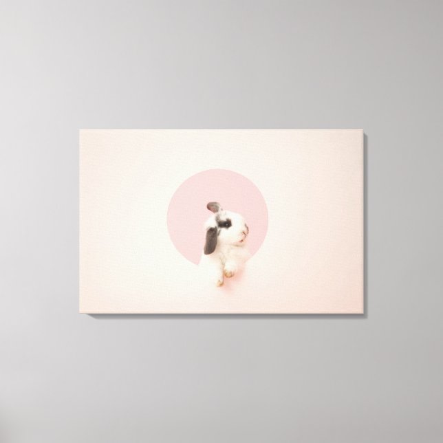 Lienzo Oryctolagus cuniculus (Anverso)