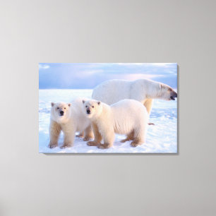 Lienzo Osa de oso polar con crías en el hielo a la orilla