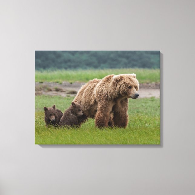 Lienzo Osa Grizzly con crías gemelas (Anverso)