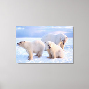 Lienzo Osa polar con crías en el hielo a la orilla de la