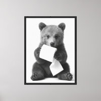 Oso divertido salvaje negro y blanco sosteniendo p