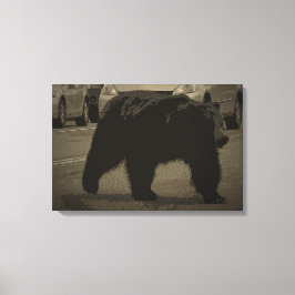 Lienzo Oso en la carretera Parque Nacional Yellowstone WY