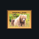 Lienzo Oso Kodiak - Alaska<br><div class="desc">Echa un vistazo a este fresco oso de Alaskan Kodiak. El oso casi parece un oso de peluche que la mayoría de nosotros teníamos como niños. Esta imagen se vería genial en la pared del dormitorio de un niño. Puedes comprar esta impresión de tela estirada "Kodiak Bear - Alaska" en...</div>