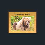 Lienzo Oso Kodiak - Alaska<br><div class="desc">Echa un vistazo a este fresco oso de Alaskan Kodiak. El oso casi parece un oso de peluche que la mayoría de nosotros teníamos como niños. Esta imagen se vería genial en la pared del dormitorio de un niño. Puedes comprar esta impresión de tela estirada "Kodiak Bear - Alaska" en...</div>