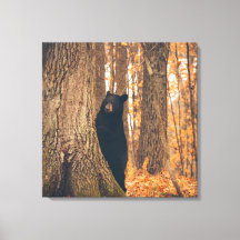 Oso negro parado por un árbol