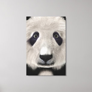 Lienzo Oso Panda