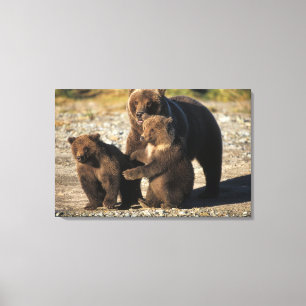 Lienzo Oso pardo, oso grizzly, osa con crías en la costa