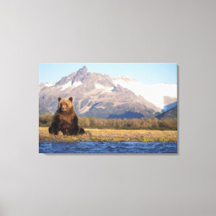 Lienzo oso pardo, Ursus arctos, oso grizzly, Ursus