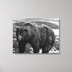 Lienzo Oso pardo vintage USA Alaska