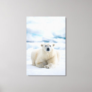Lienzo Oso polar adulto en el hielo de verano