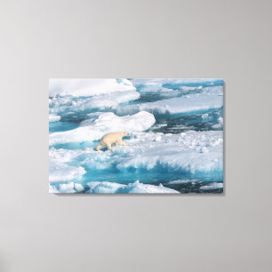 Lienzo Oso polar caminando por el mar