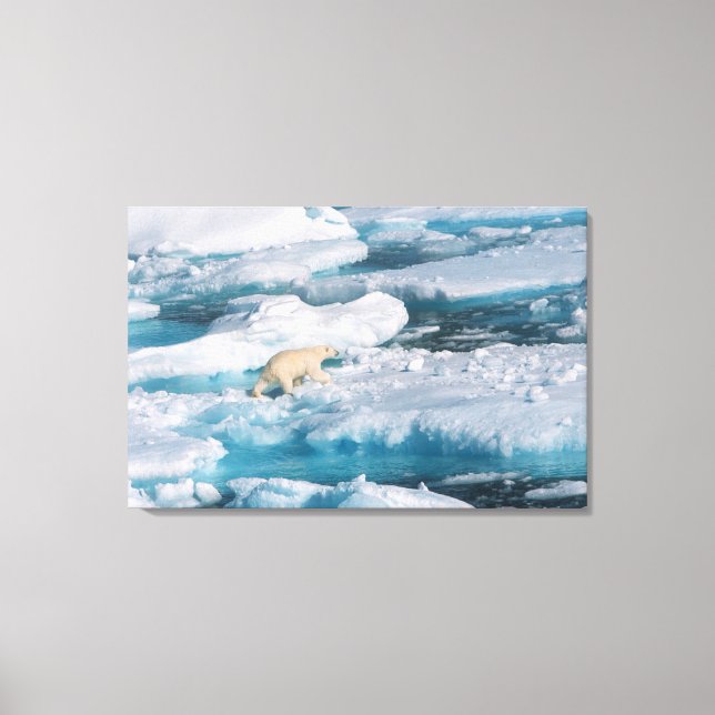 Lienzo Oso polar caminando por el mar (Anverso)