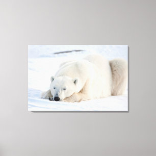 Lienzo Oso polar en invierno