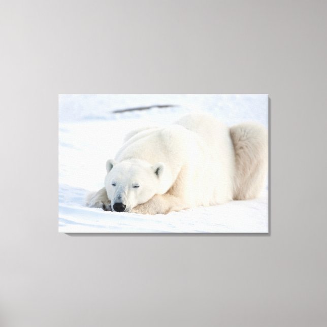 Lienzo Oso polar en invierno (Anverso)