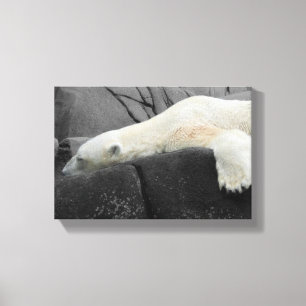 Lienzo Oso Polar Sleepy