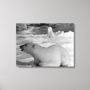 Lienzo Oso polar Vintage USA Alaska
