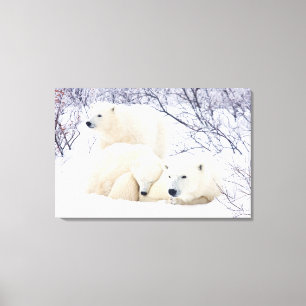 Lienzo Osos polares hembra y dos cubos 3