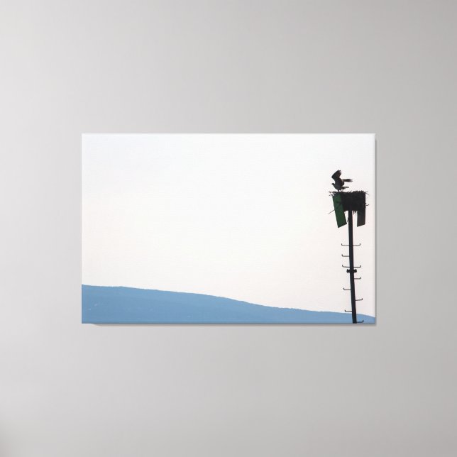 Lienzo Osprey frente a la isla del desierto del Monte Mai (Anverso)