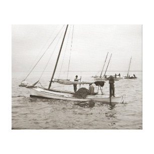 Lienzo Ostra Boats, 1903