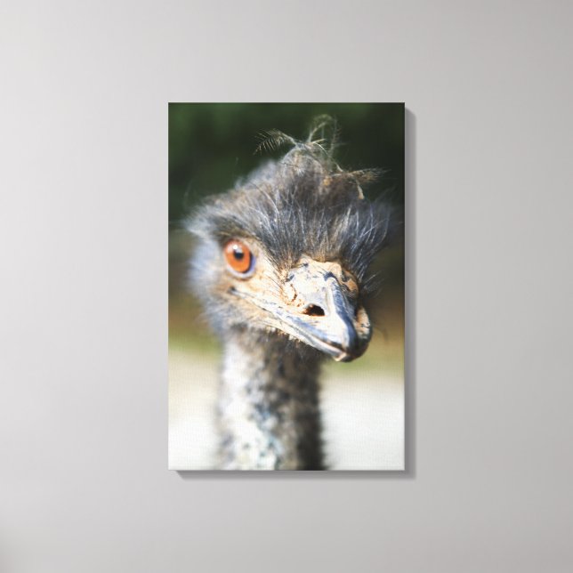 Lienzo Ostrich (Anverso)