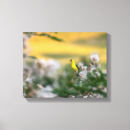 Lienzo Otoño De Goldfinch Y Thistle