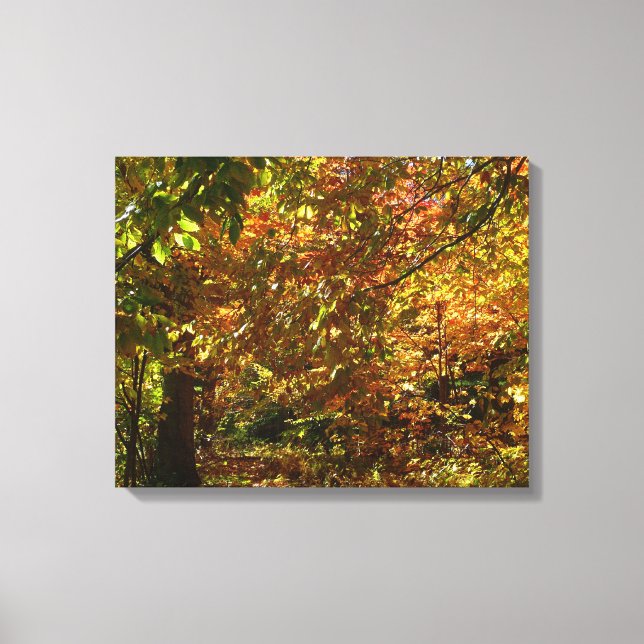 Lienzo Otoño de otoño II Fotografía de otoño amarilla (Anverso)