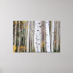 Lienzo Otoño en el Aspen