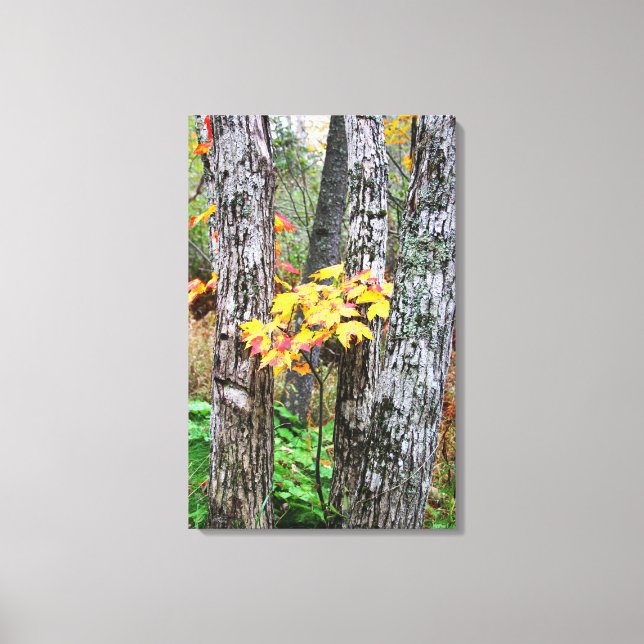 Lienzo Otoño en el parque Mapleton 2 (Anverso)