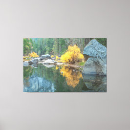 Lienzo Otoño Merced