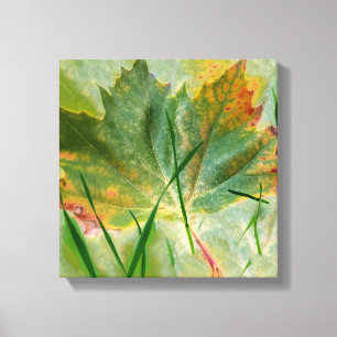 Lienzo Otoño tardío