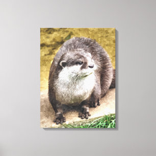 LIENZO OTTERS
