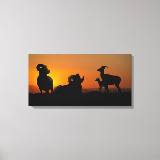 Lienzo Oveja Bighorn (Anverso)