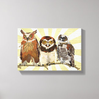LIENZO OWLS EN UN VESTÍBULO DE FILA